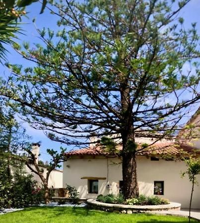 Chorio House Platanias Guest House Vrisai ภายนอก รูปภาพ