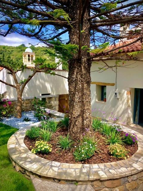 Chorio House Platanias Guest House Vrisai ภายนอก รูปภาพ