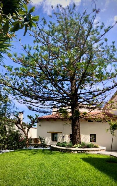 Chorio House Platanias Guest House Vrisai ภายนอก รูปภาพ